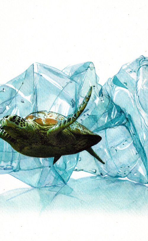 Turtle in Plastic Bottle by REME Jr.