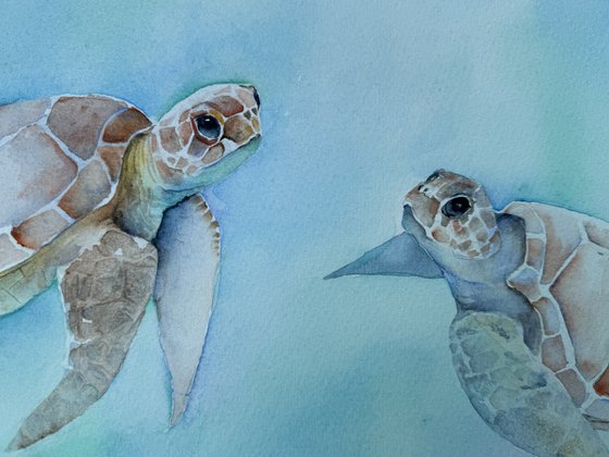 Turquoise Turtles