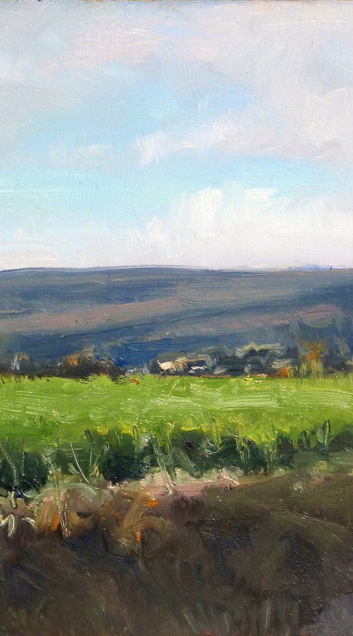 Chemin des Comtes by Pascal Giroud