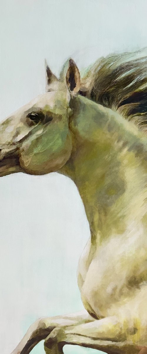 Run to the Sun by Paul Hardern