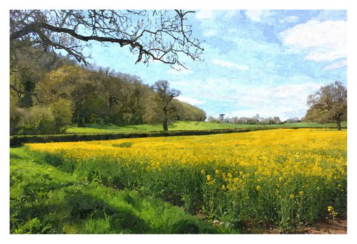 Spring Into Yellow by David Lacey