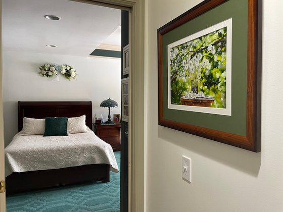 Dandelion Seeds and Flowering Garden