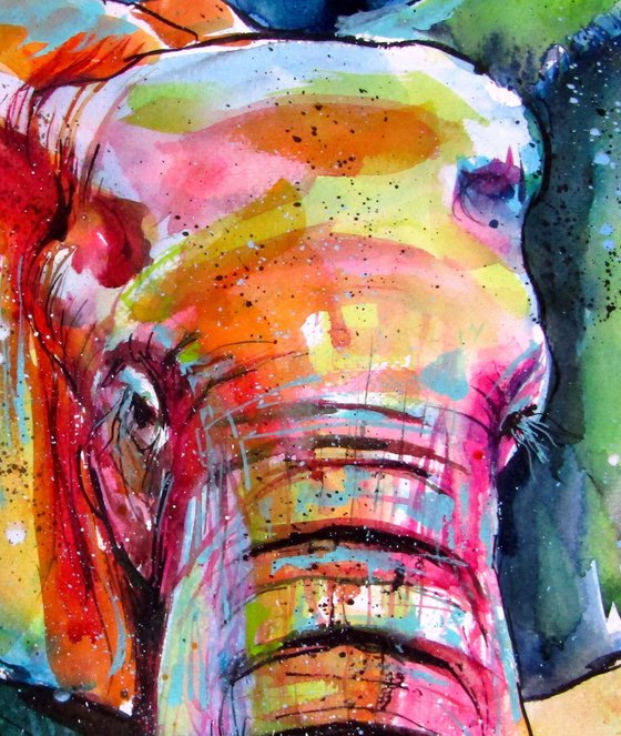 Elephant in the meadow