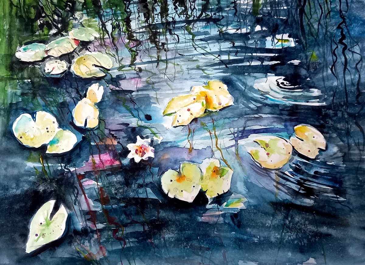 Water lilies II by Kovacs Anna Brigitta