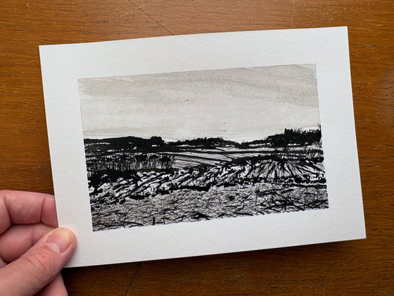 Pennsylvania Fields 2