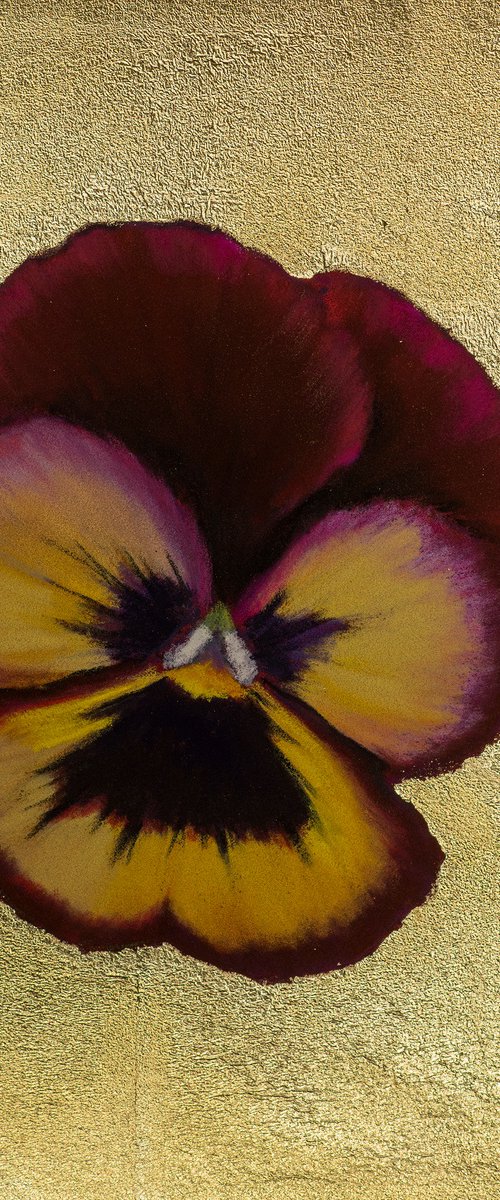 Pansy #16 by Oxana Babkina