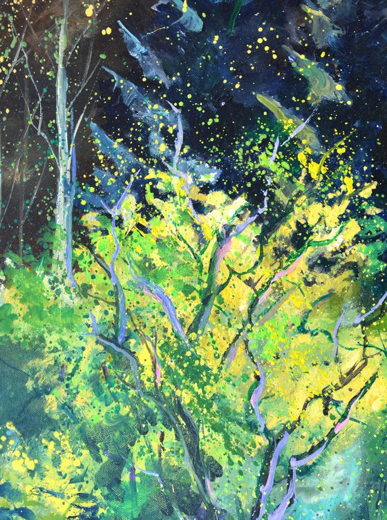 Sunlight in the wood