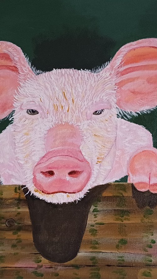 Cute Pig by Corinne Hamer