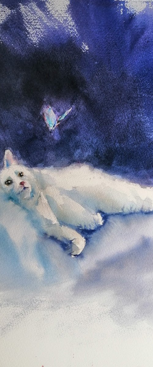 lying cat 5 by Giorgio Gosti