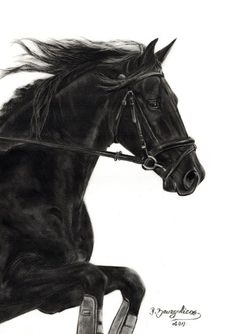 Oil painting ,,  Horse MERLIN ,, by Deimante Bruzguliene