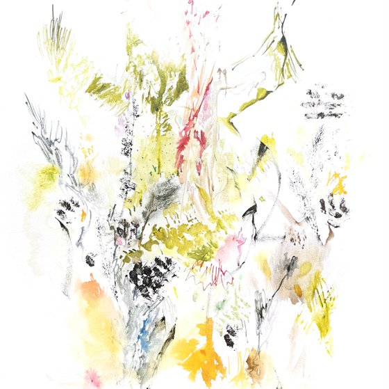 Floral abstractions