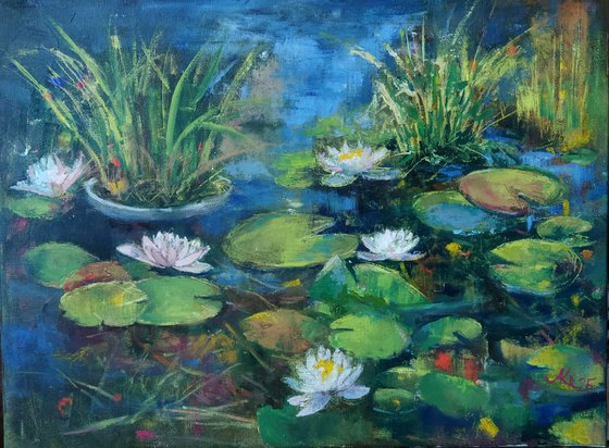 Water Lilies pond