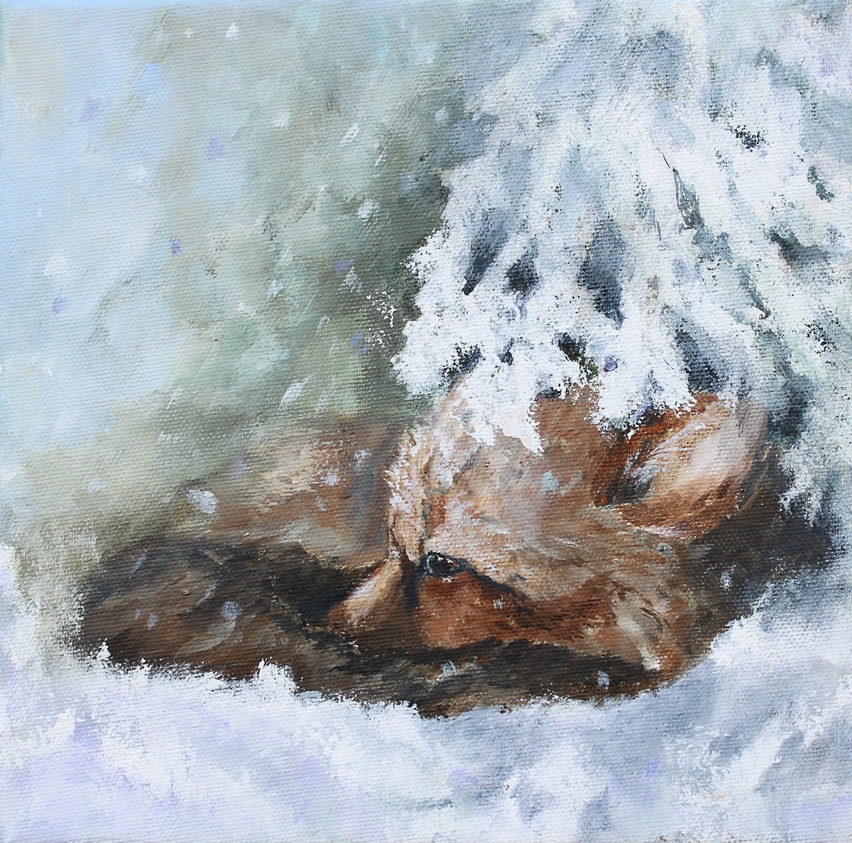 Sleepy Fox By Katerina Koroleva, 10 X 10, Artwork For Sale On Artfinder