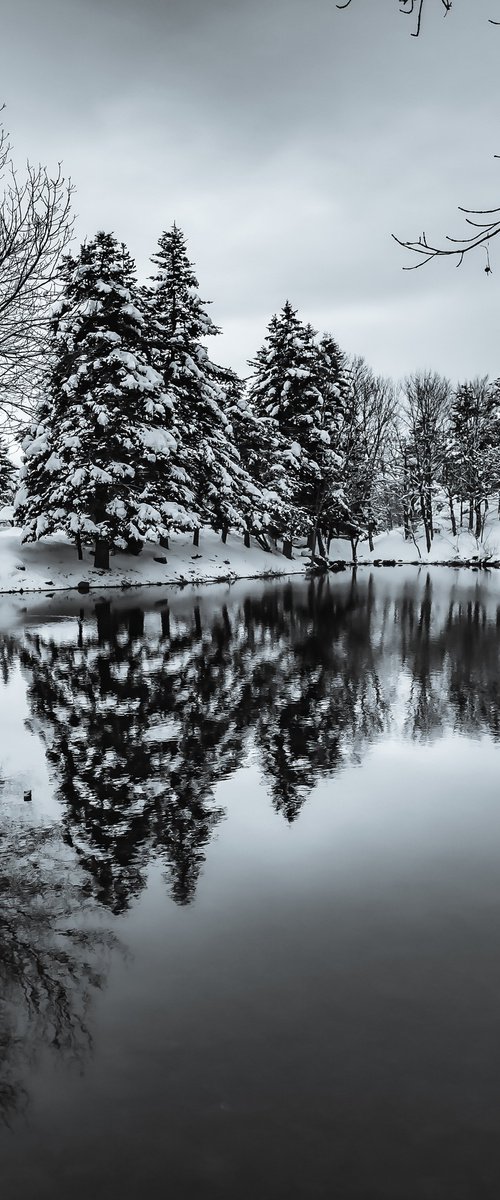 WINTER REFLECT II by Fabio Accorrà