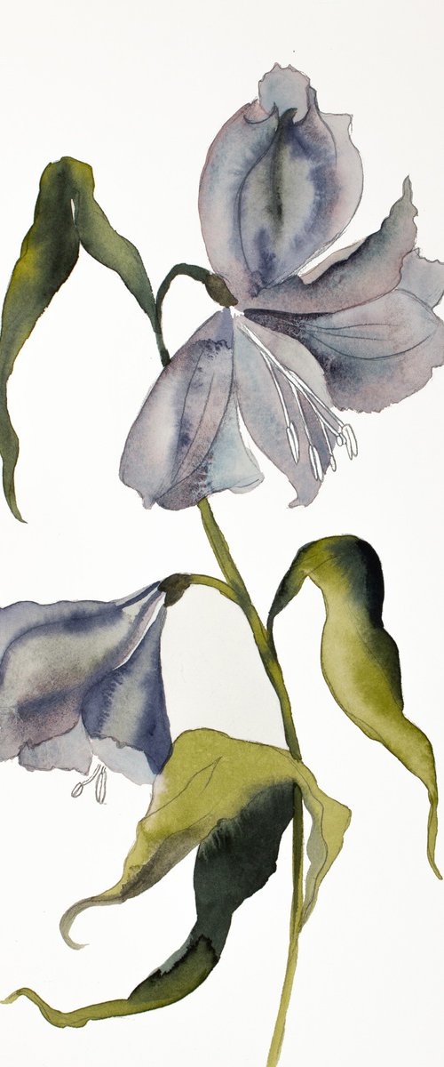Lilies No. 13 by Elizabeth Becker