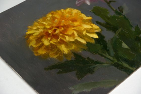 Chrysanthemums
