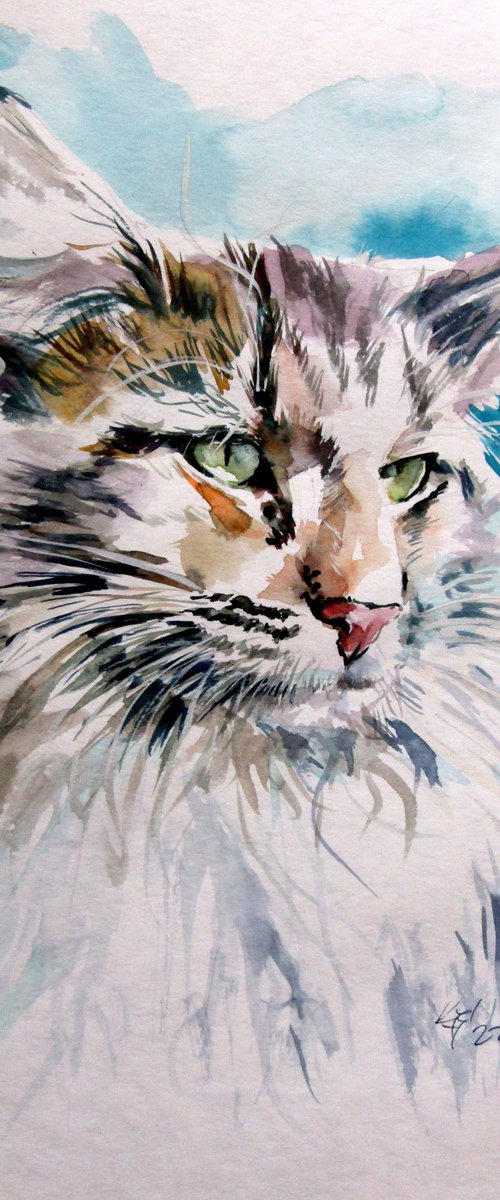 Cat portrait by Kovács Anna Brigitta
