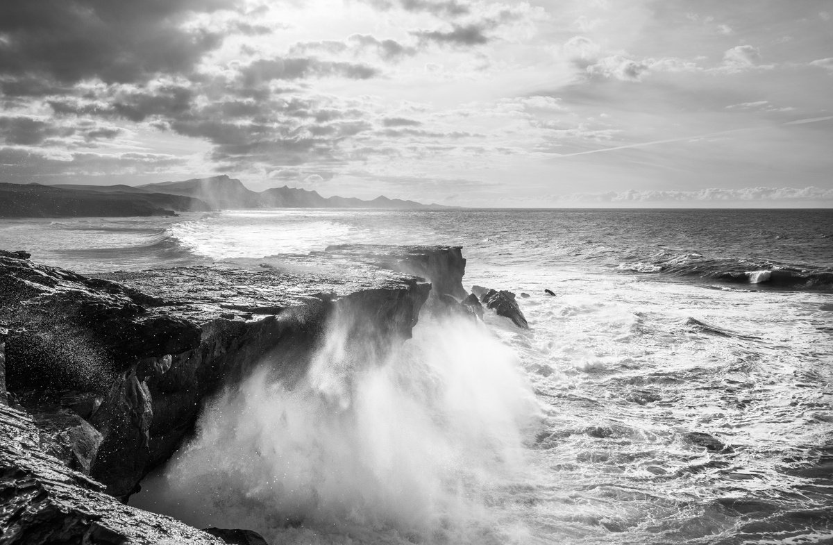 THE WILD COAST by Andrew Lever