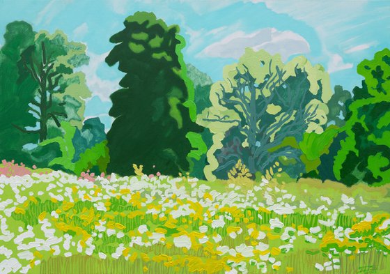 Summer field