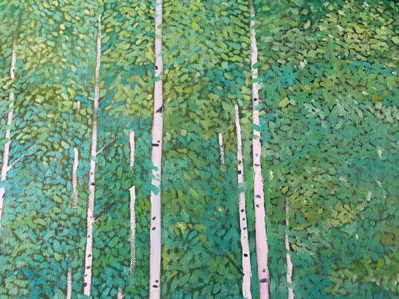 Birch Forest