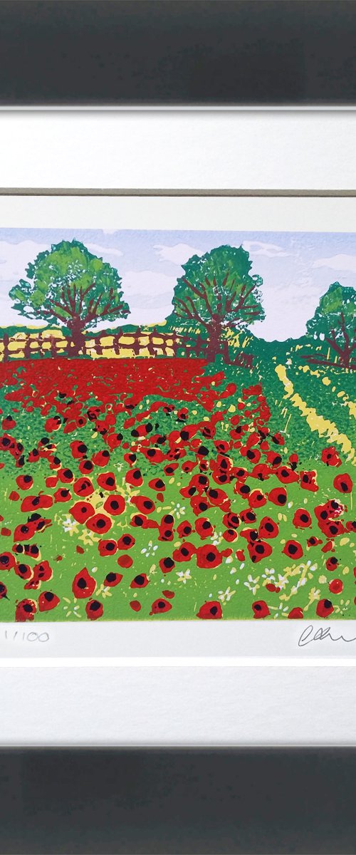 Poppy fields by Carolynne Coulson