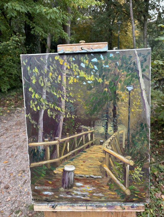 Autumn in Dutch forest