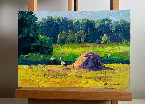 The Storks have Arrived