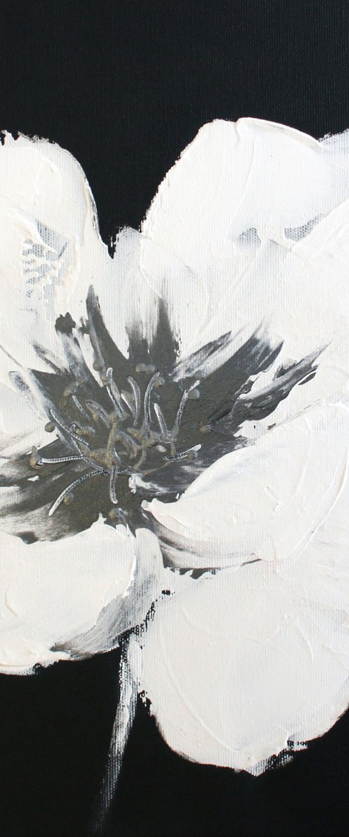 White Poppy I /  ORIGINAL PAINTING by Salana Art Gallery