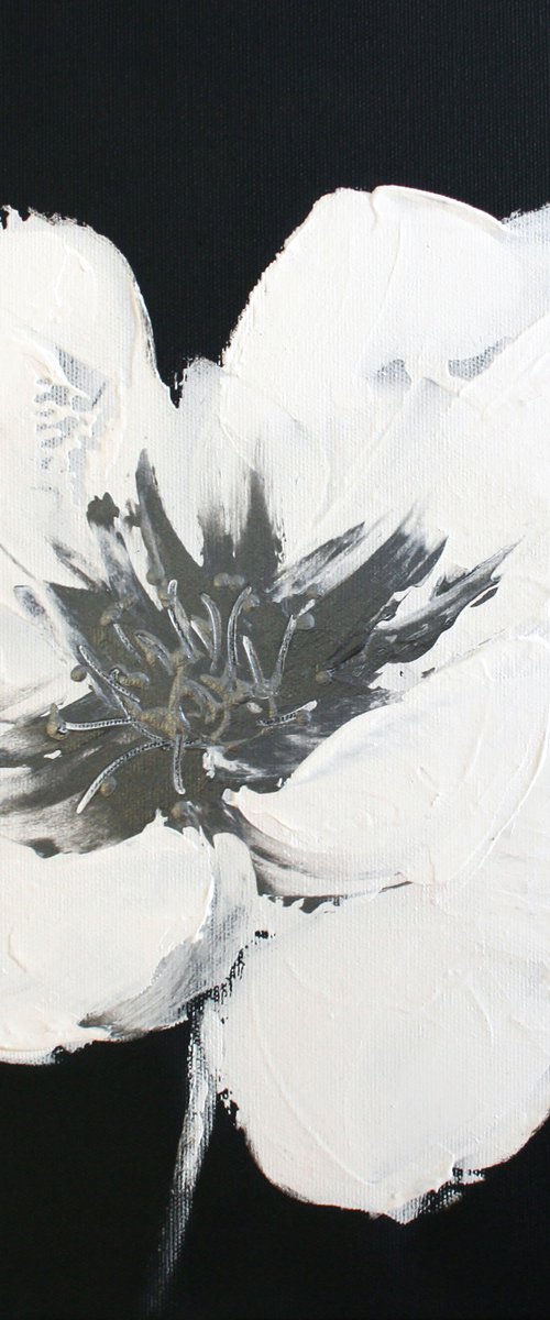 White Poppy I /  ORIGINAL PAINTING by Salana Art / Svetlana Samovarova