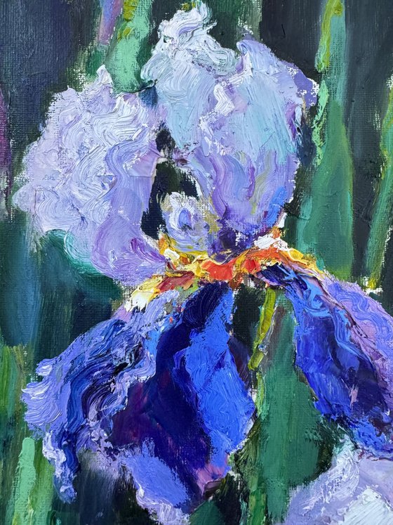 Dance of the Irises