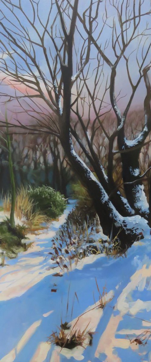 Winter's morning by Kerry Lisa Davies