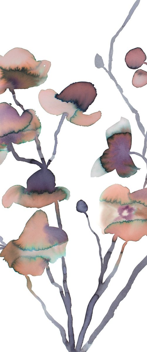 Orchids by Elizabeth Becker