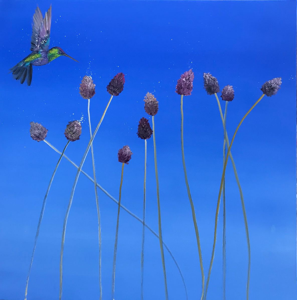 Allium by Laure Bury