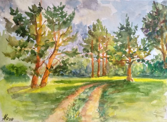 The road in the pine forest