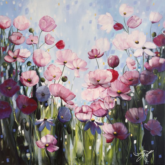 Poppies Land 5