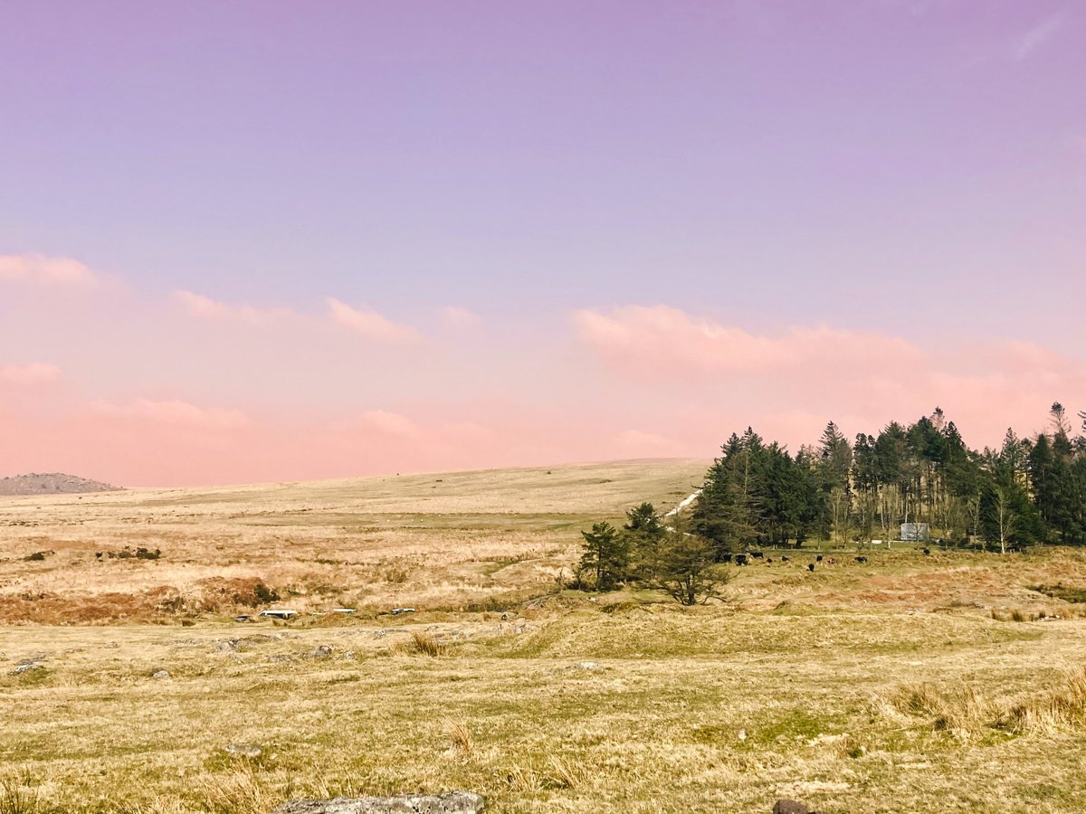 Dartmoor 2021 02 - A4 by Kerry Gerdes