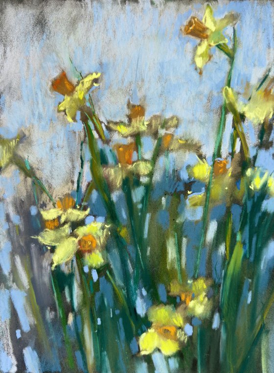 Spring flowers. Daffodils