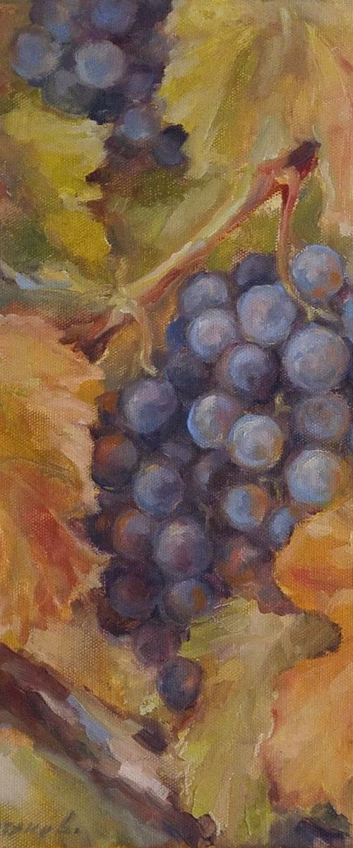 Grapes 4 11x14'' by Alexander Koltakov