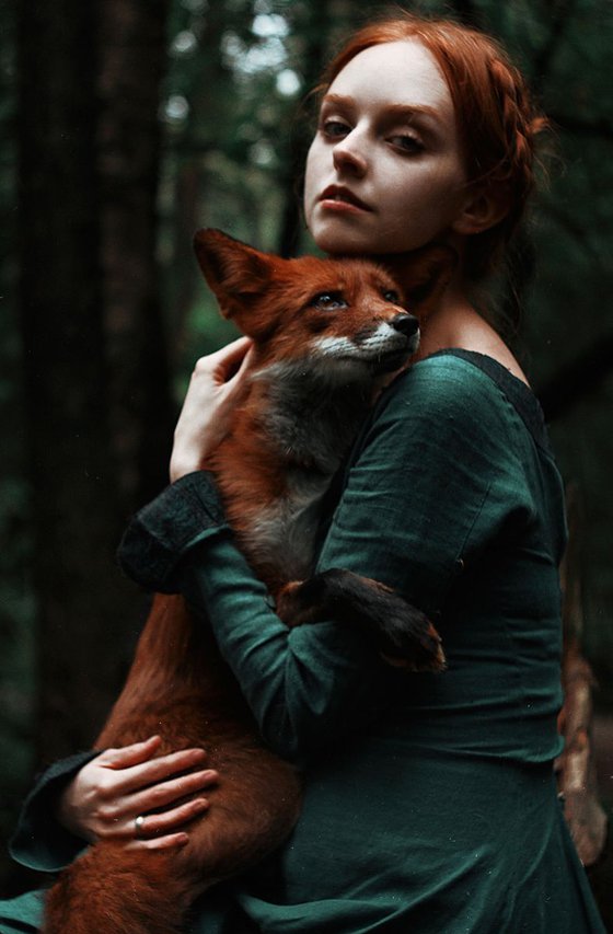 Foxes
