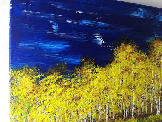 Autumn birch forest