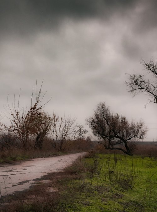 Cloudy November Day by Vlad Durniev