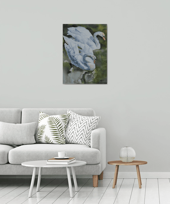 White swans