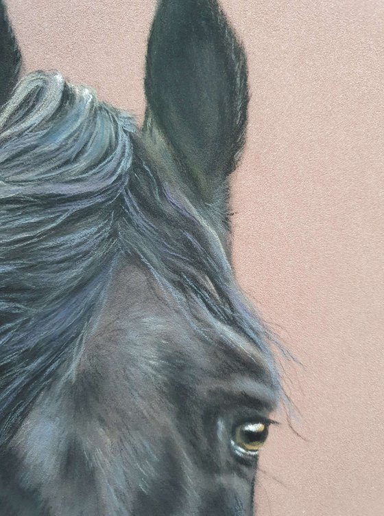 Pastel oil horse painting realism on Paper ,, Ato'