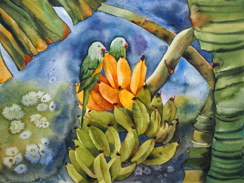 Parrots on a banana branch by Delnara El