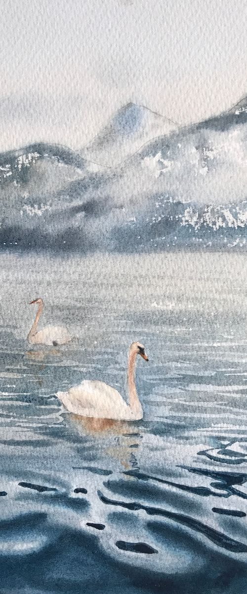 Swans on the lake by Eugenia Gorbacheva