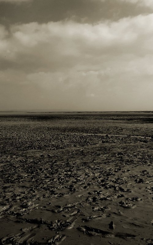 La Baie du MONT SAINT MICHEL.. by Philippe berthier