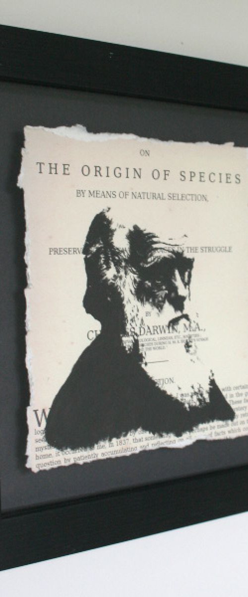 Darwin - On the Origin of Species (Framed) by Peter Walters