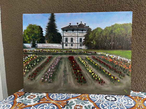 Springtime in Groppello d’Adda - Red Tulips