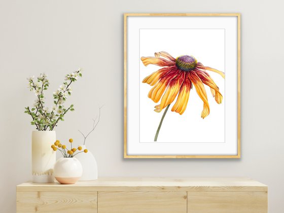 Greetings to the sun