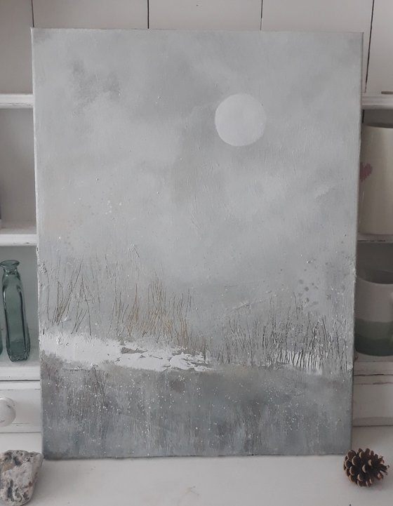 Winter Moon ...Winter Marshes....